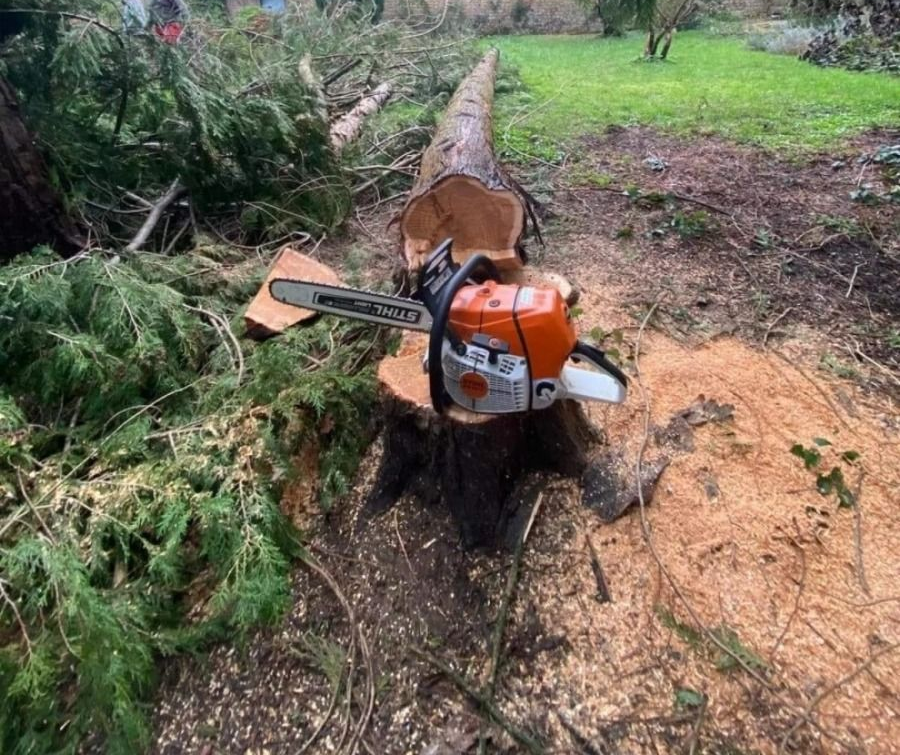 Une tronçonneuse posée sur une souche d'arbre coupée, avec un tronc d'arbre tombé dans une cour, entouré de copeaux de bois.