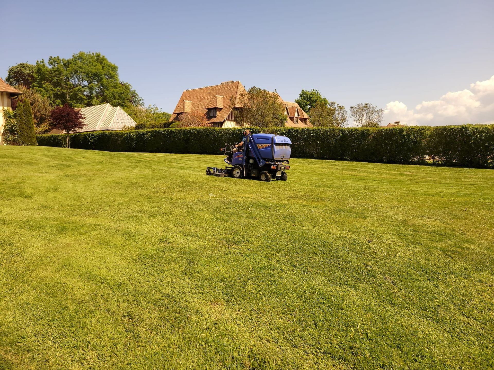 Tondeuse à gazon bleue coupant l'herbe dans une cour ensoleillée ; arbres et maisons en arrière-plan.