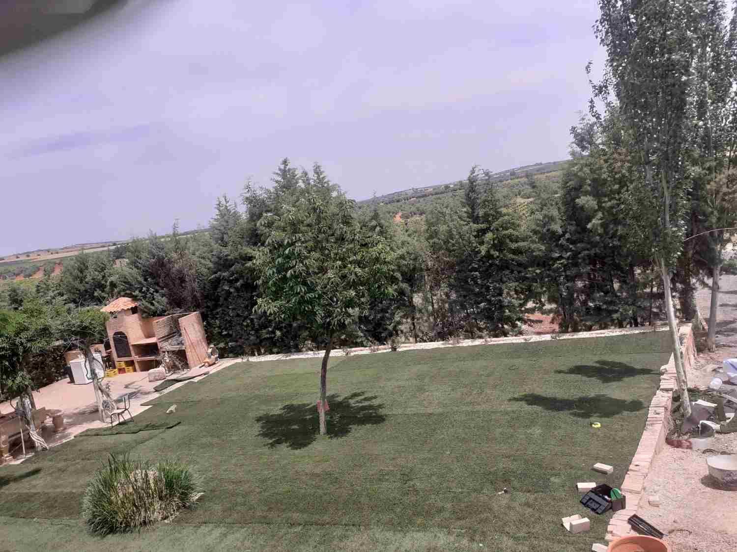Jardín rural con césped, árboles, un sendero de tierra y un pequeño edificio bajo un cielo nublado.