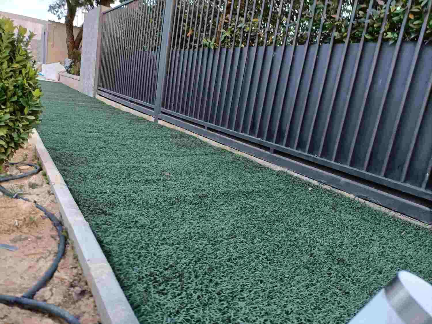 Patio lateral estrecho con césped verde junto a una valla metálica negra y bordes de hormigón.