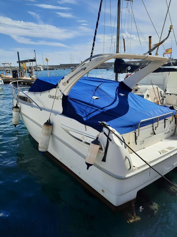 Yate blanco con lona azul atracado en un puerto deportivo bajo un cielo soleado.