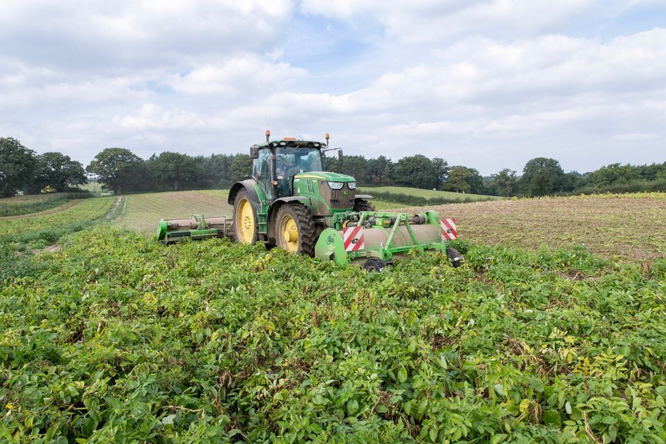 farmers
