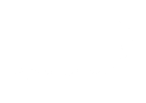 #femmesproject logo