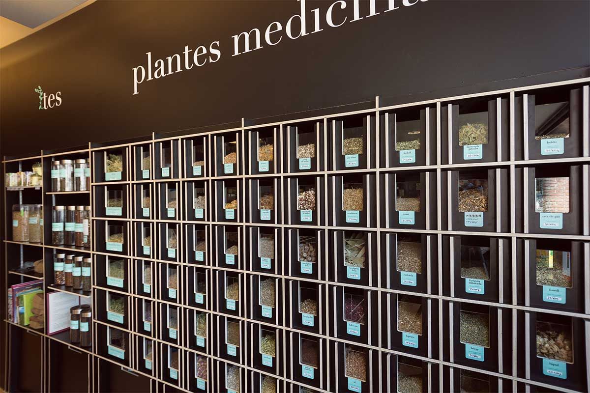 Una pared de estantes llenos de muchos tipos diferentes de hierbas y especias.