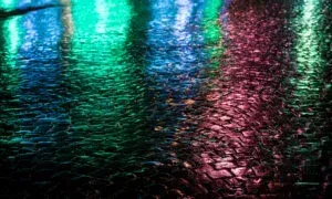 Luo Alt-tekstitunnisteet hakukoneoptimointia ja saavutettavuutta varten.