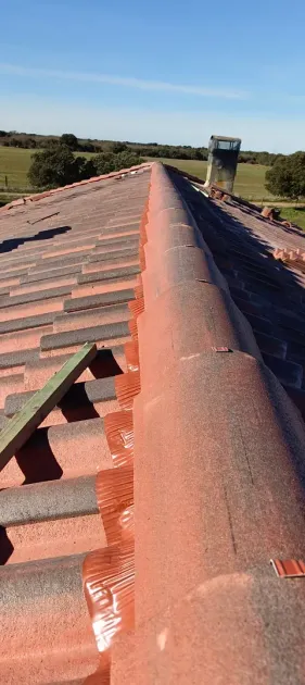 Un techo con una hilera de tejas rojas sobre él.