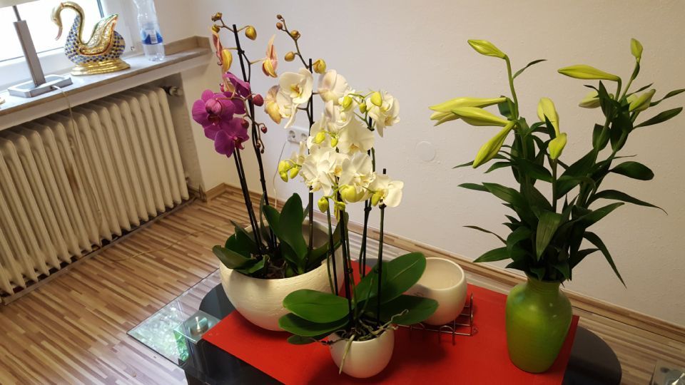 Blumenarrangement auf einem Tisch