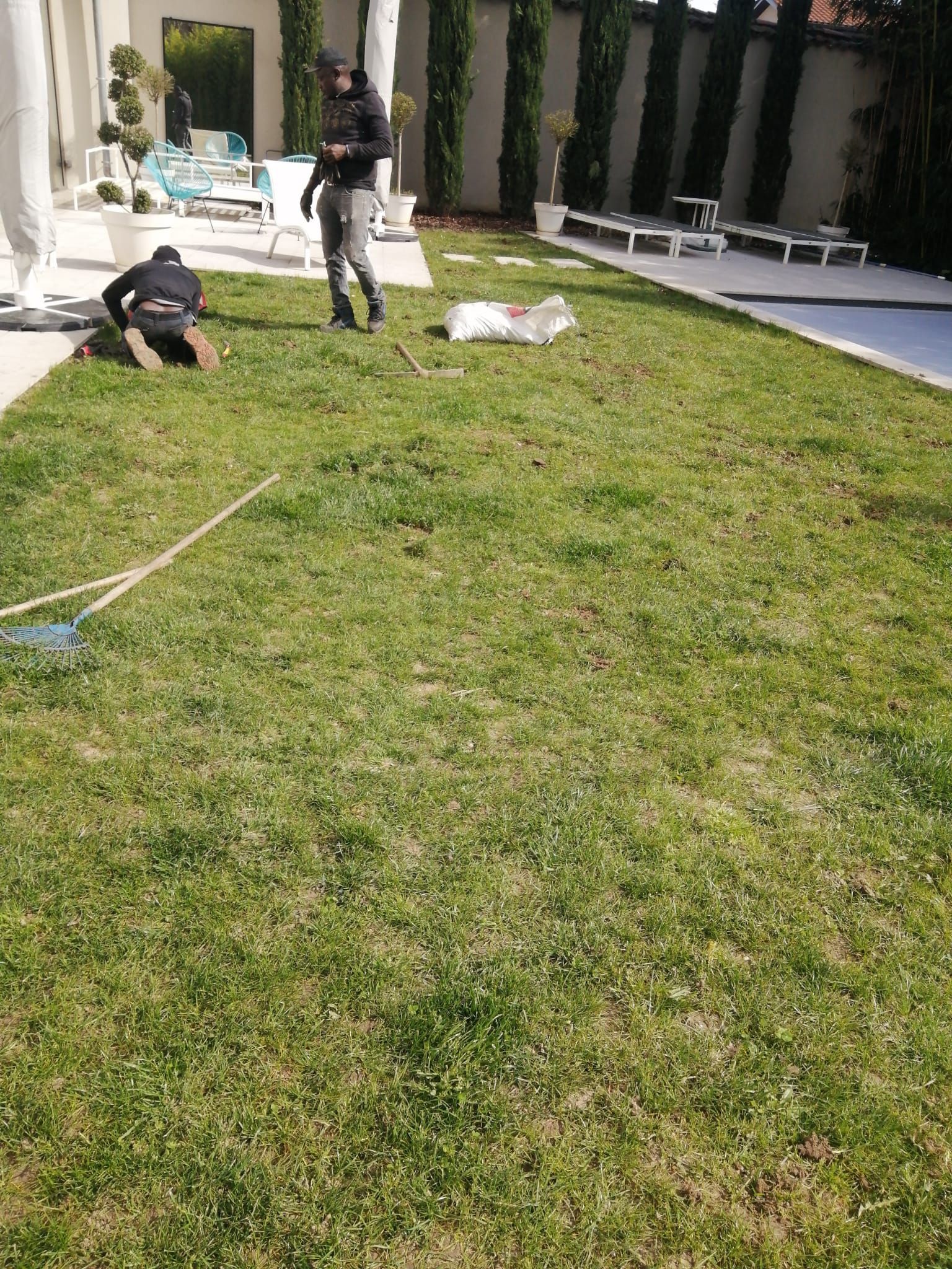 Vue sur une pelouse proche d'une piscine