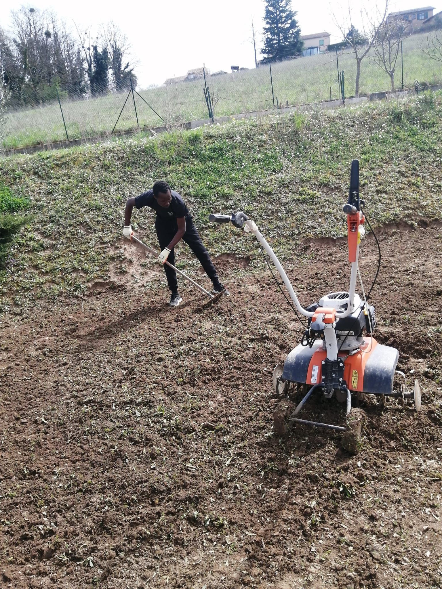 Préparation du sol, motoculteur sur un terrain