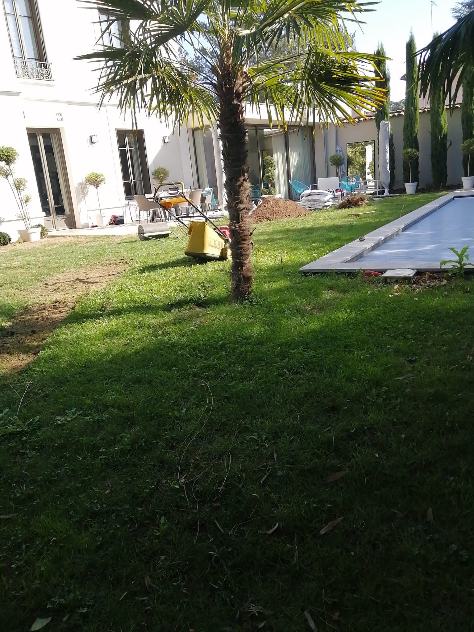 Vue sur une pelouse proche d'une piscine avec une maison et un palmier