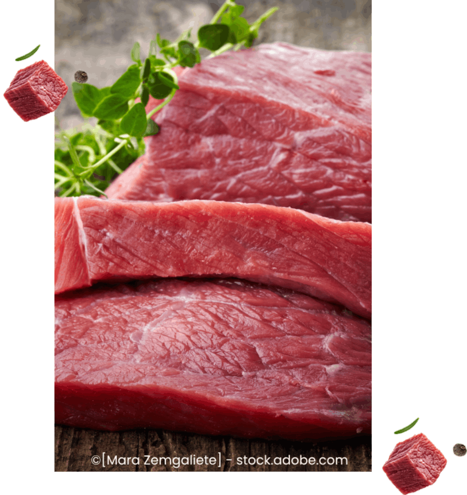 Fleisch