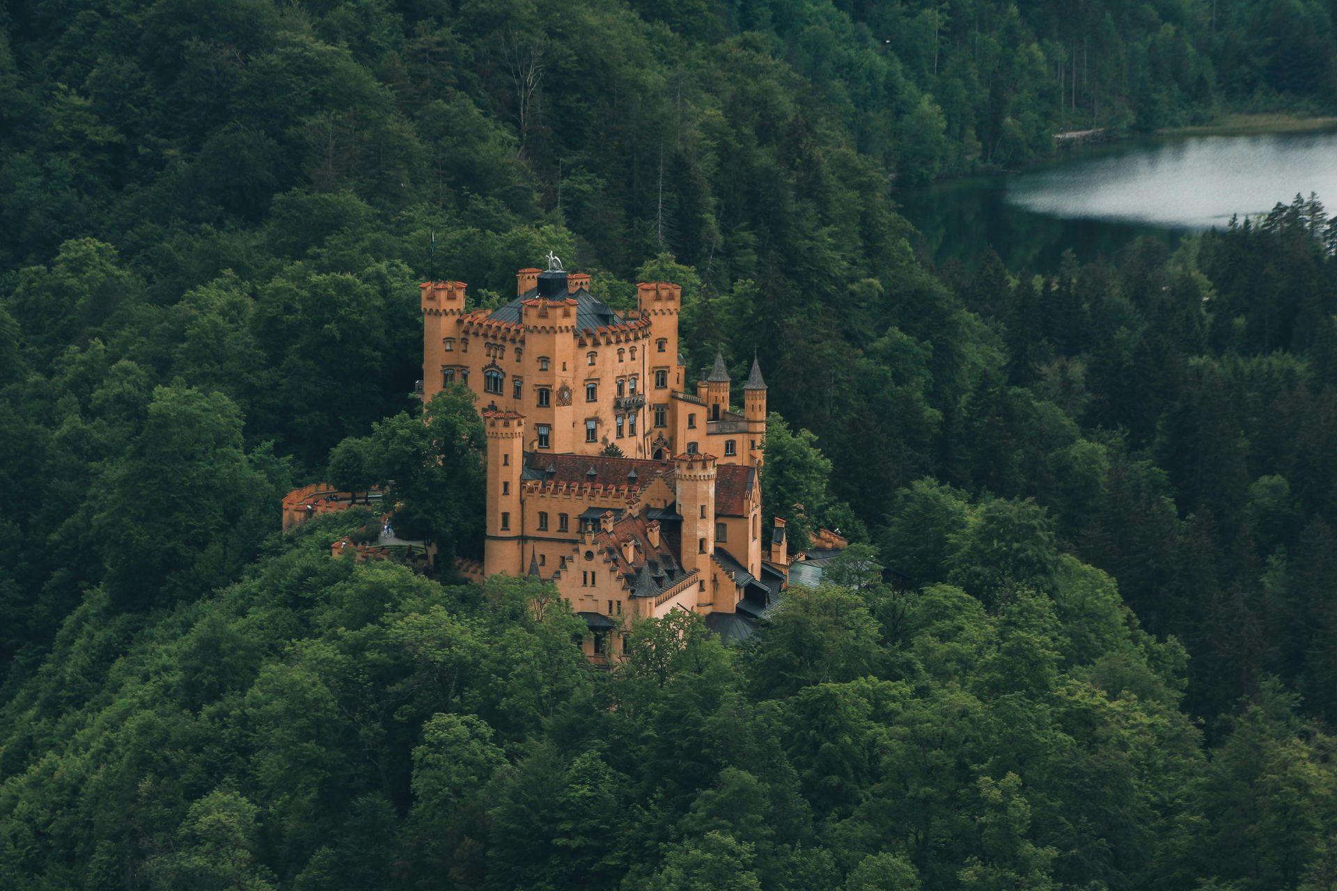 Ein orangefarbenes Schloss, eingebettet in einen dichten grünen Wald, im Hintergrund Nebel.