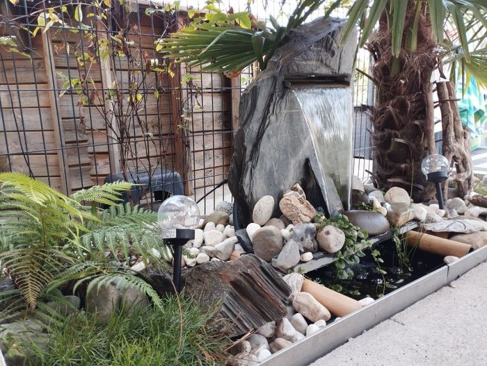 Une cascade est entourée de rochers et de plantes dans un jardin.