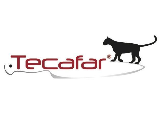 Un gato negro está parado junto a la palabra tecafar