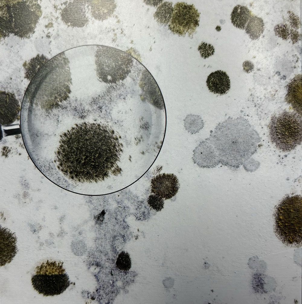 Auf einer weißen Fläche steht eine Lupe und schaut auf Schimmel