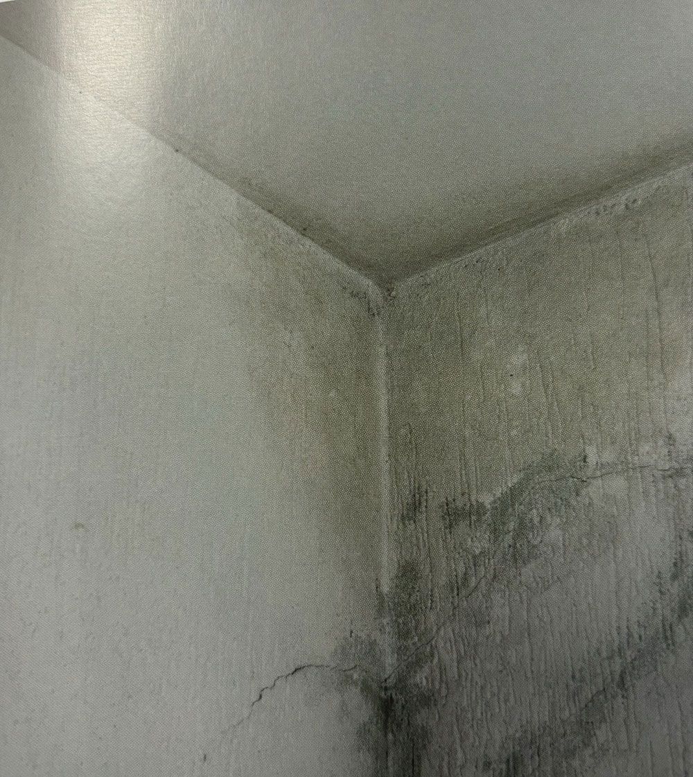 ein Schwarz-Weiß-Foto einer Ecke eines Raumes mit Decke.