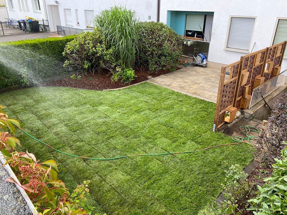 Ein Sprinkler sprüht Wasser auf einen üppigen grünen Rasen in einem Hinterhof.