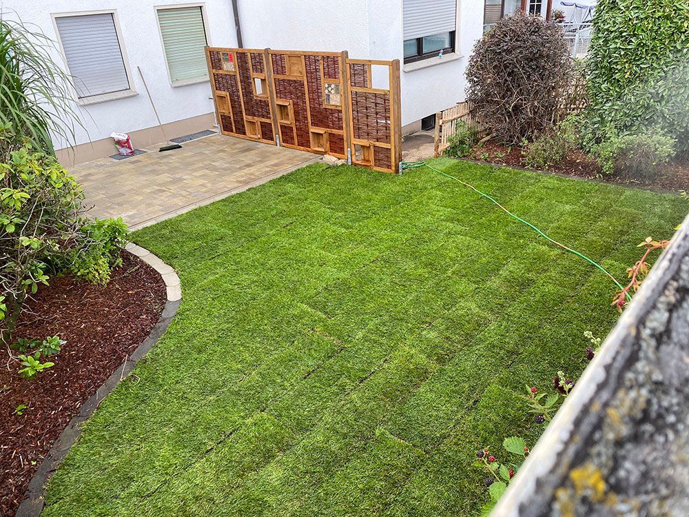 Ein üppiger grüner Rasen mit einem Holzzaun im Hinterhof eines Hauses.