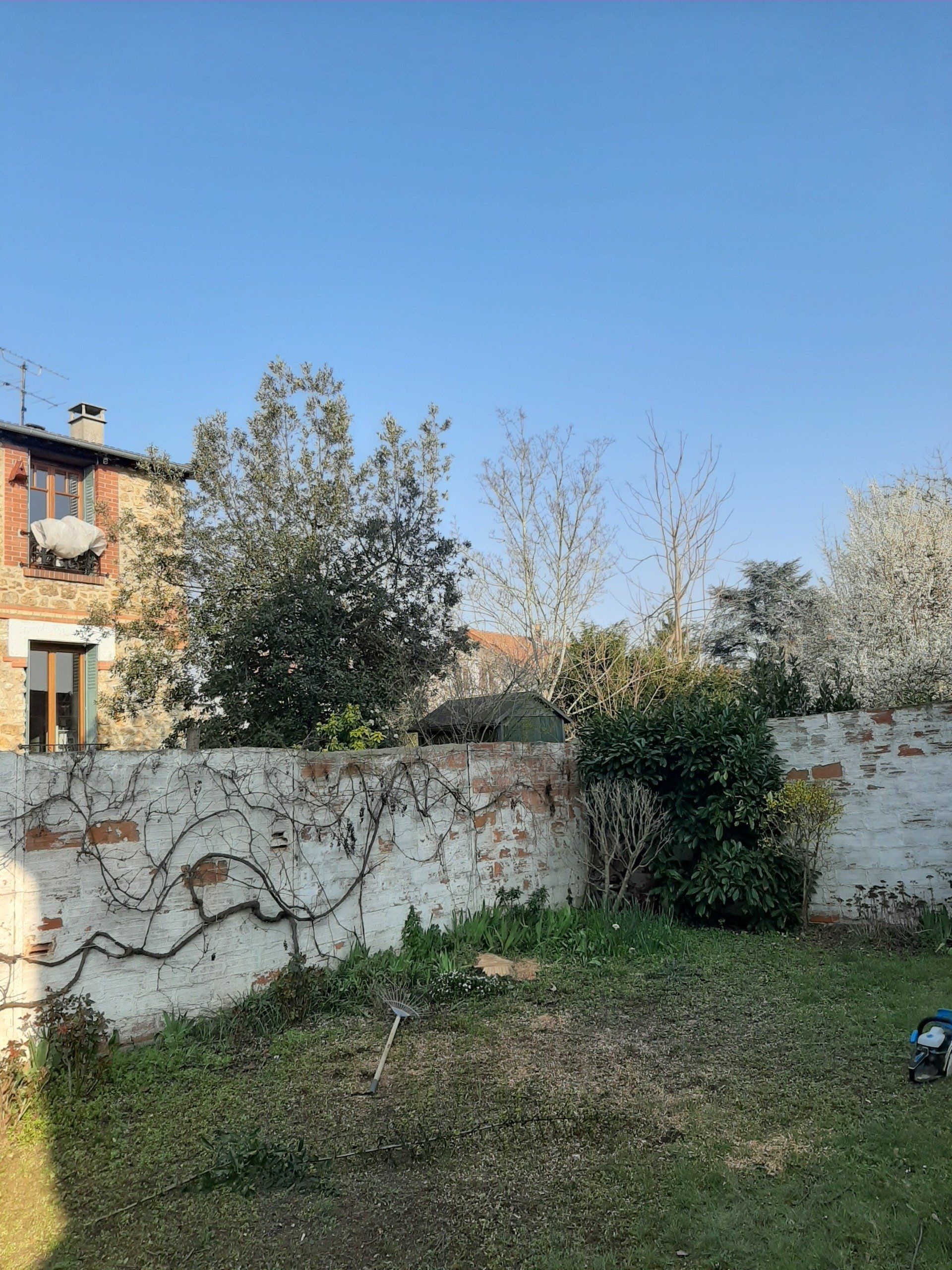 Entretien d'un jardin