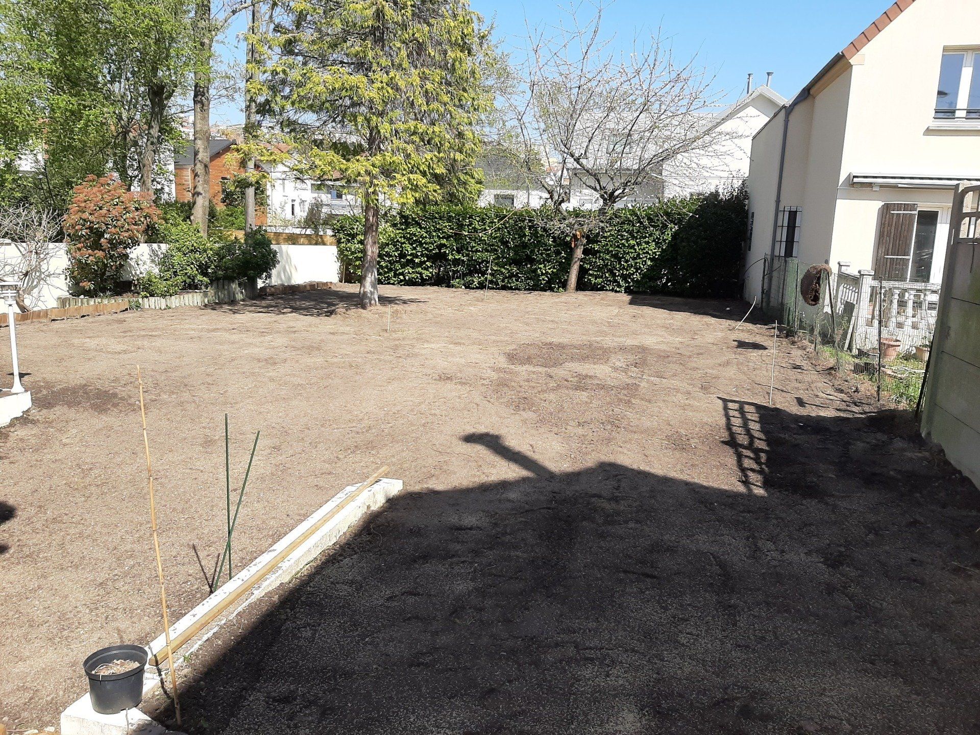 Mise à nue d'une pelouse