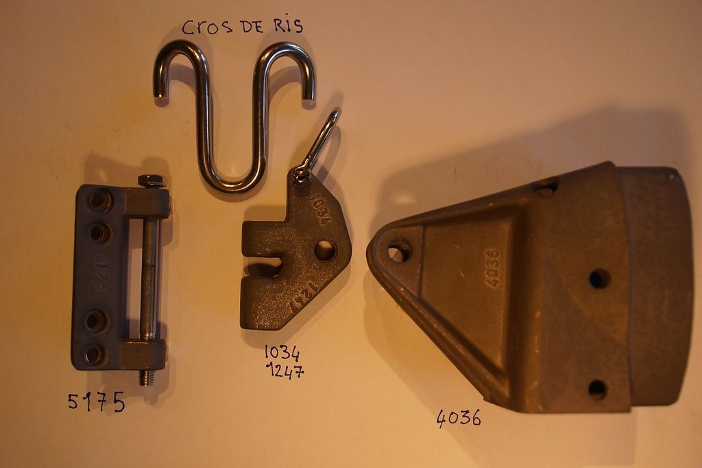 Surprise Vit de mulet