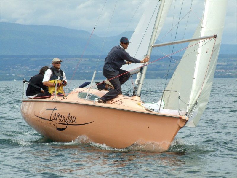 Surprise couleur spéciale sur demande