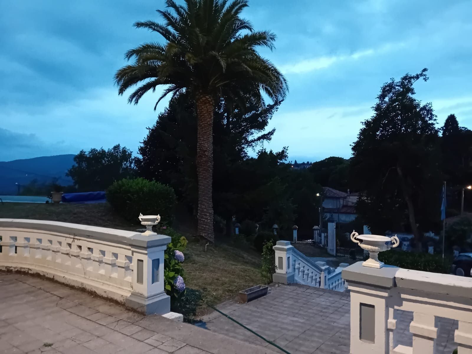 Palmera y balaustrada ornamentada contra un cielo nublado al anochecer.
