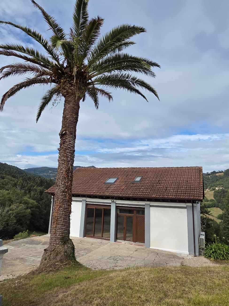 Palmera junto a un edificio blanco con techo de tejas marrones, contra un cielo nublado.