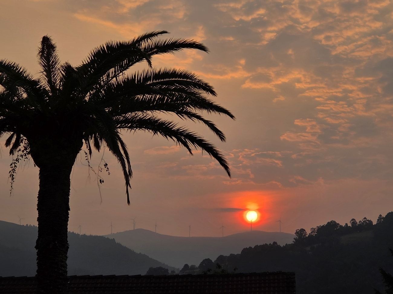 Silueta de palmera contra un cielo de atardecer sobre las montañas.