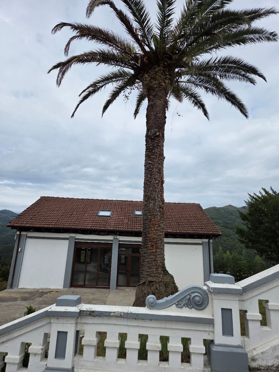 Palmera frente a un edificio blanco con tejado de tejas marrones. Una barandilla gris y blanca en primer plano.