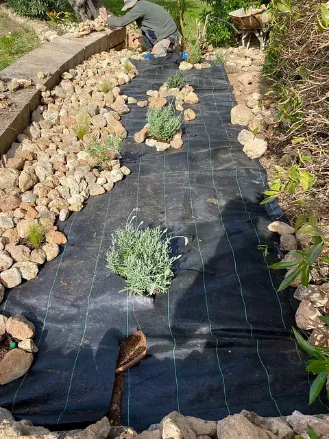 Una persona está trabajando en un jardín con rocas y plantas.