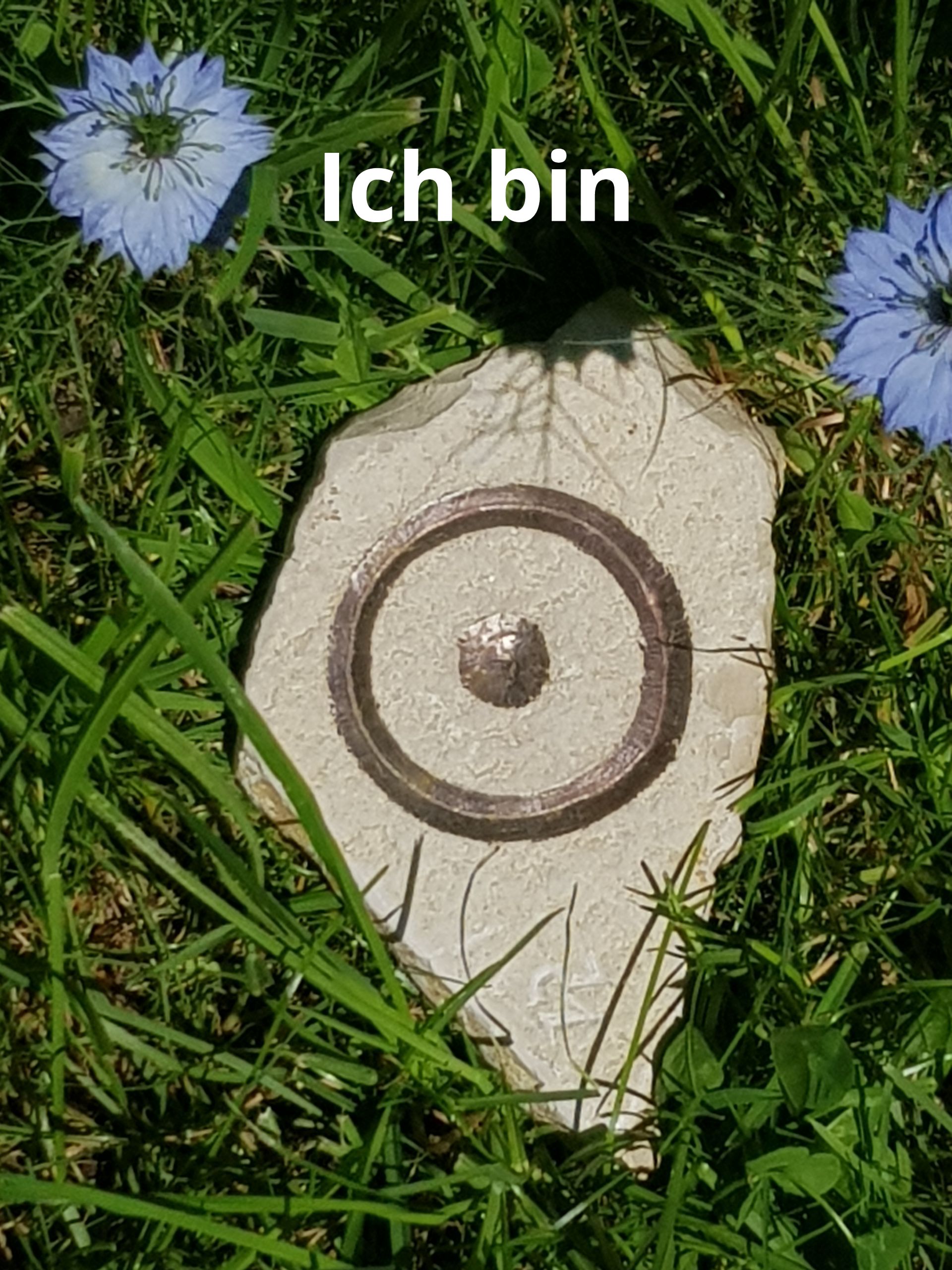 Akademie für Ritual & Schamanismus nach Sabine Kapfer