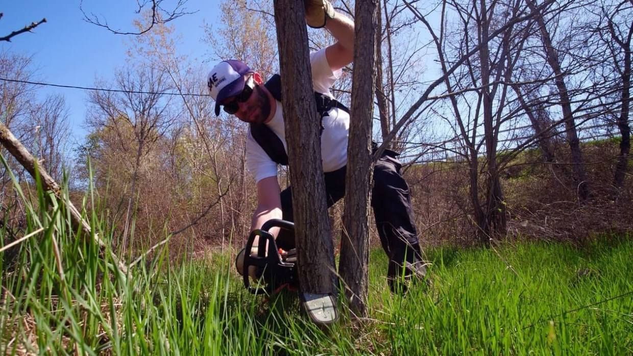 Un homme coupe un arbre à la tronçonneuse