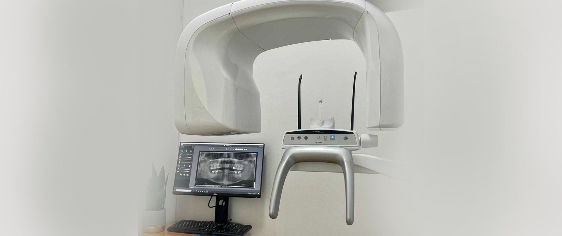 Una persona sostiene un modelo de dientes frente a una computadora portátil.