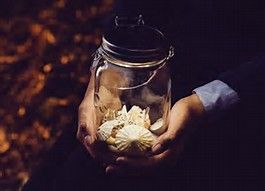 Mitenand-Laden Beromünster/Gunzwil