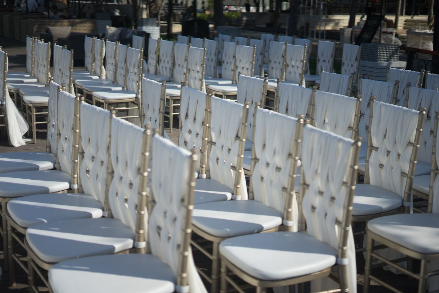 Filas de sillas blancas decoradas para un evento al aire libre, entorno soleado.
