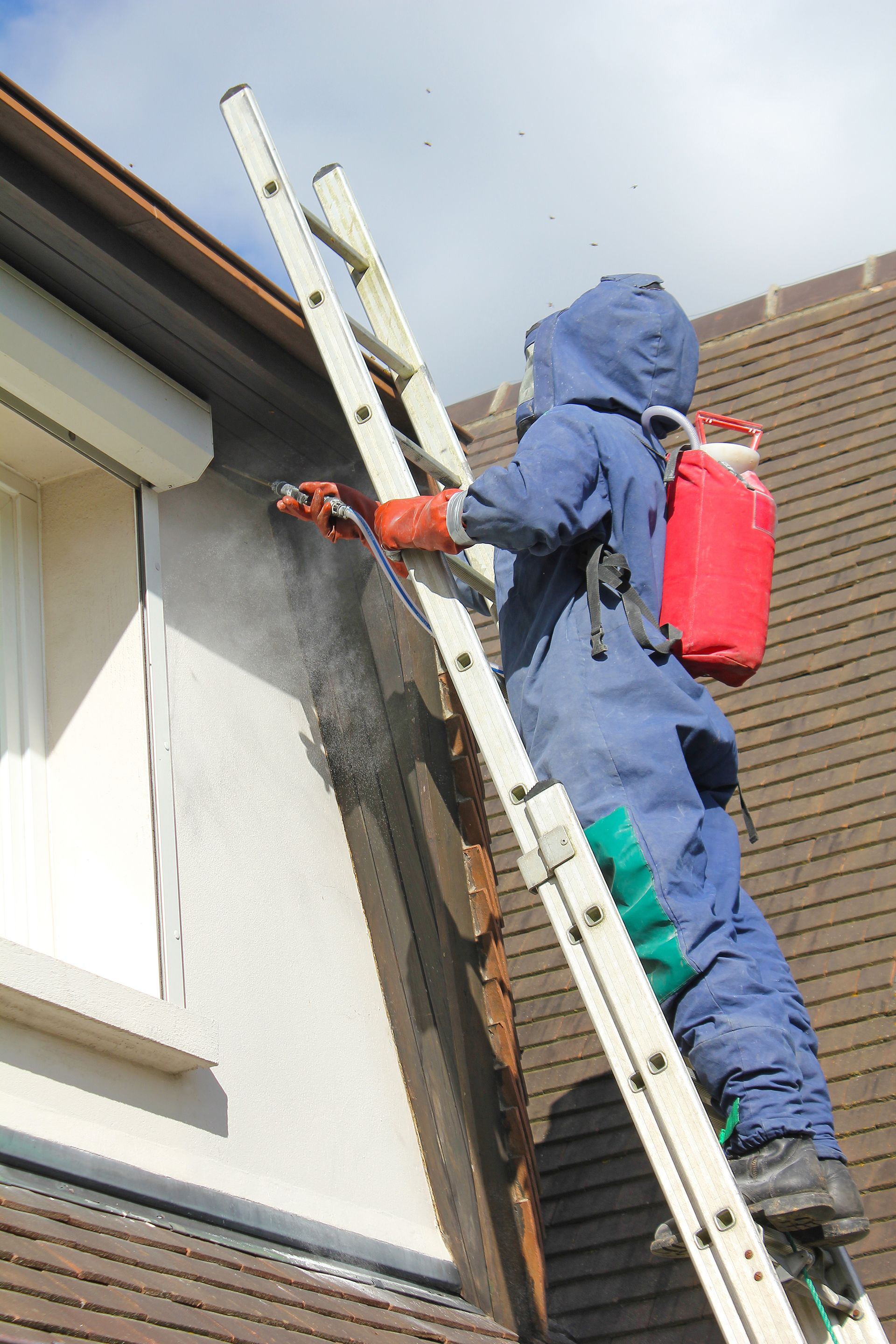 Homme avec une échelle qui traite un nid de frelons