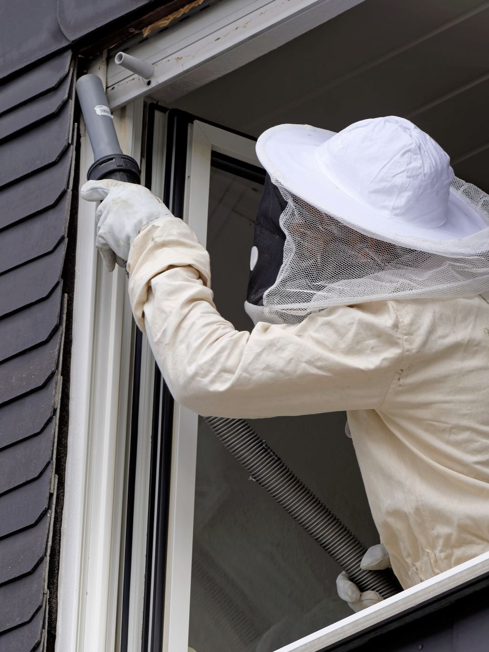 Technicien qui applique un traitement contre les frelons