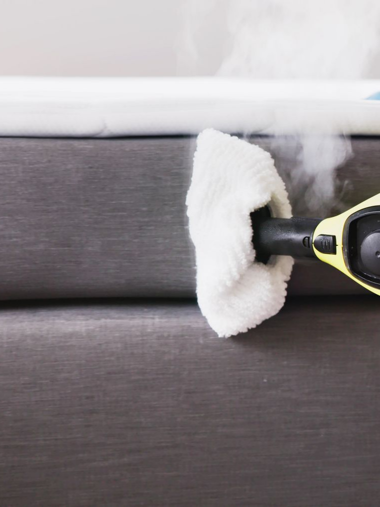 Traitement vapeur punaise de lit