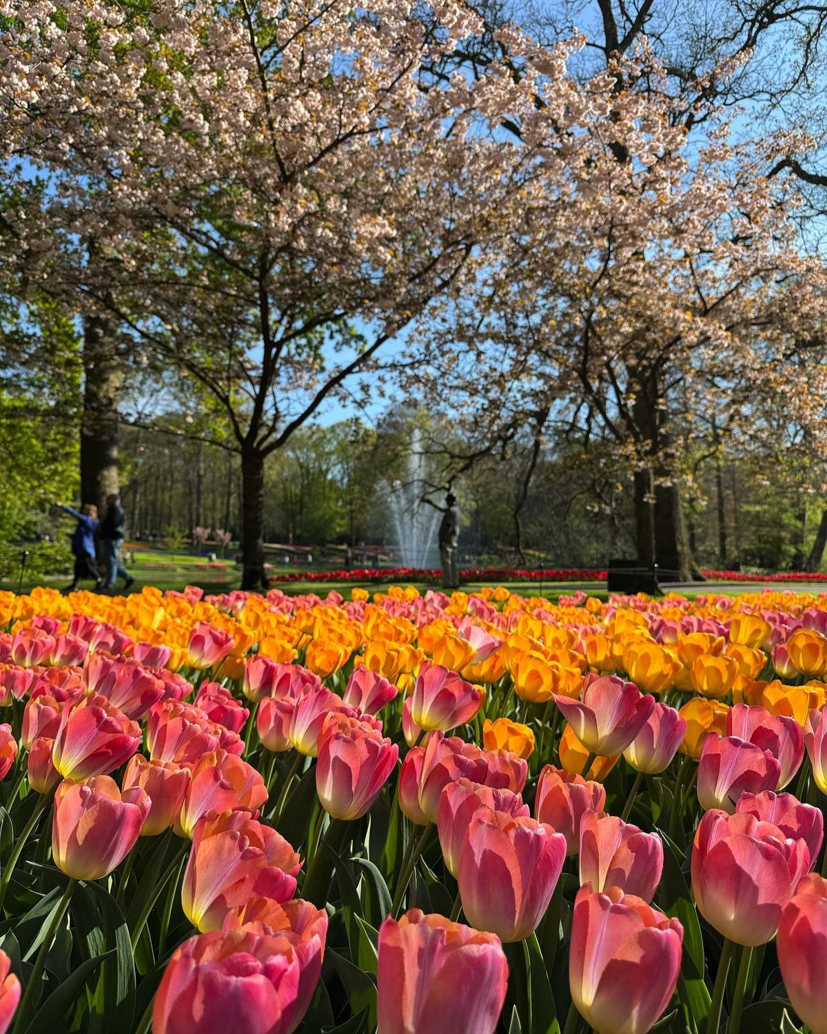 Leids Cabaret Festival 