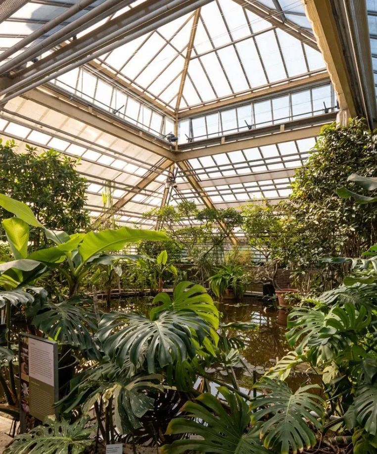 Hortus Botanicus Leiden, de oudste botanische tuin van Nederland