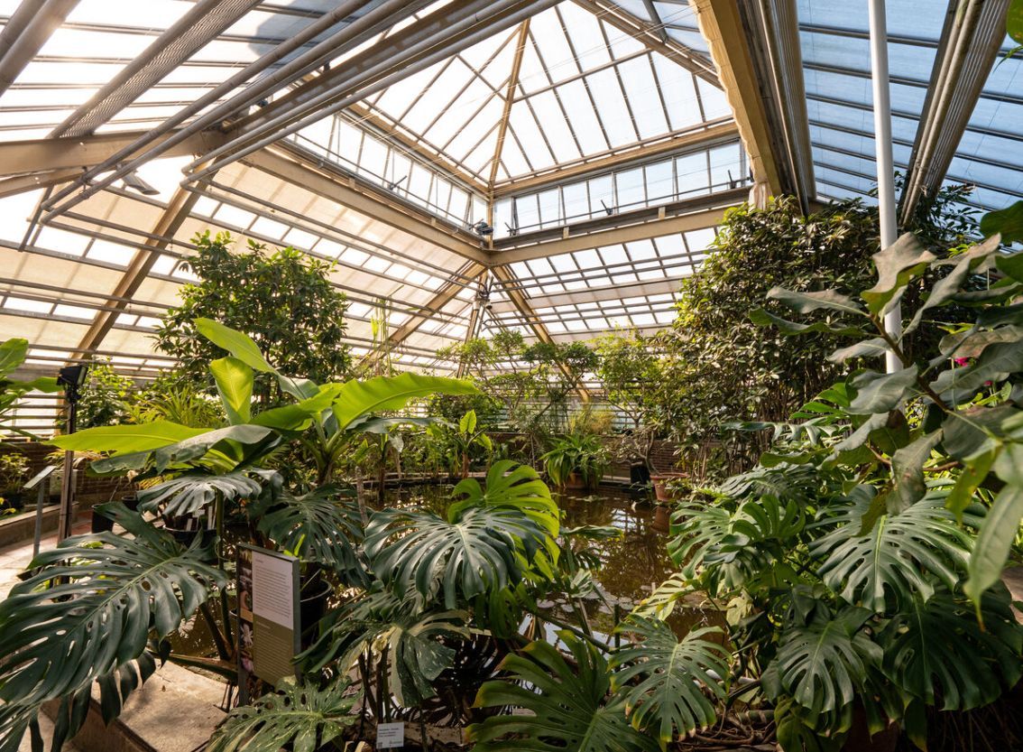 Leids Cabaret Festival 