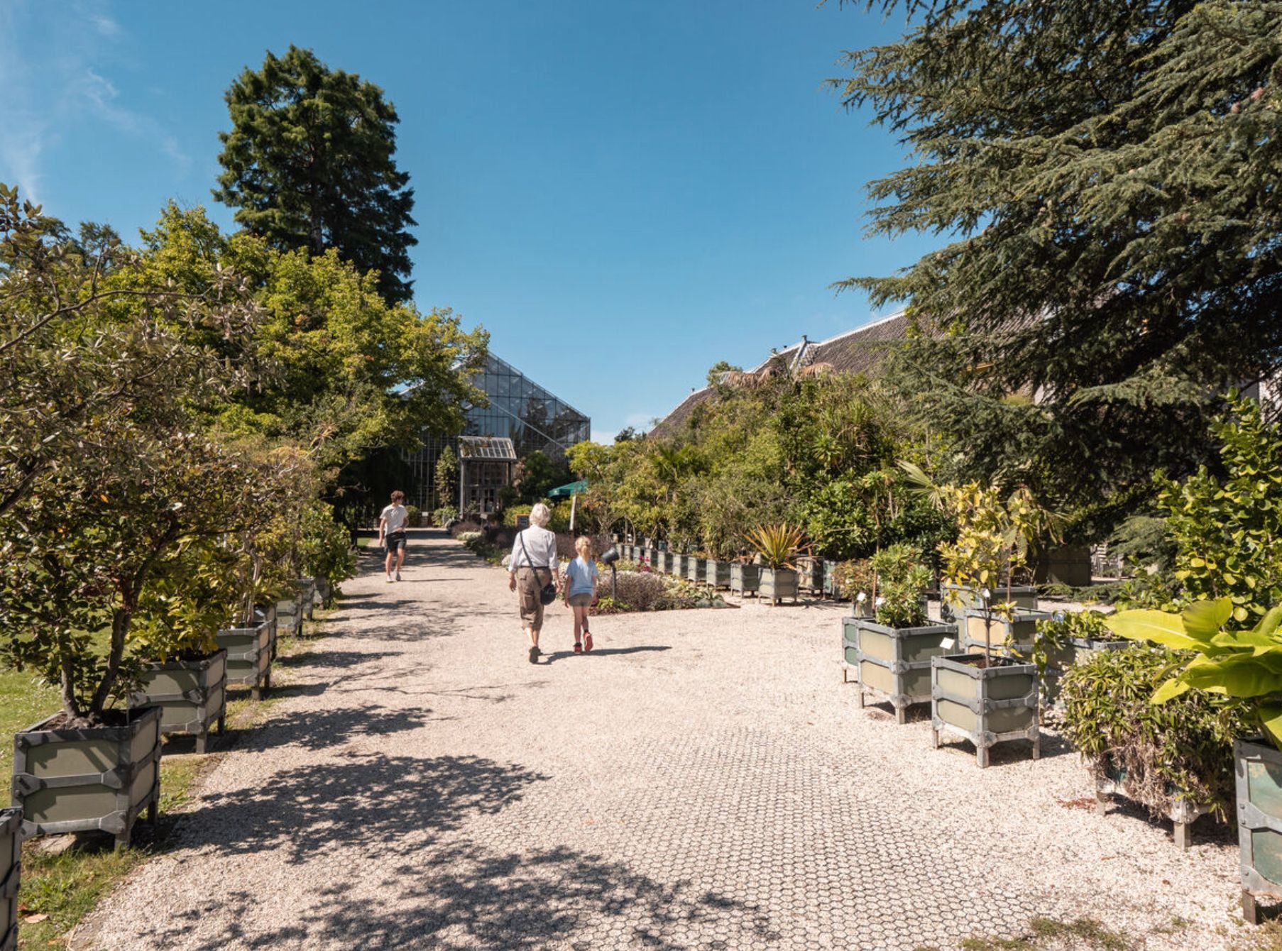 Gracht in Leiden in de avond met lichtjes 