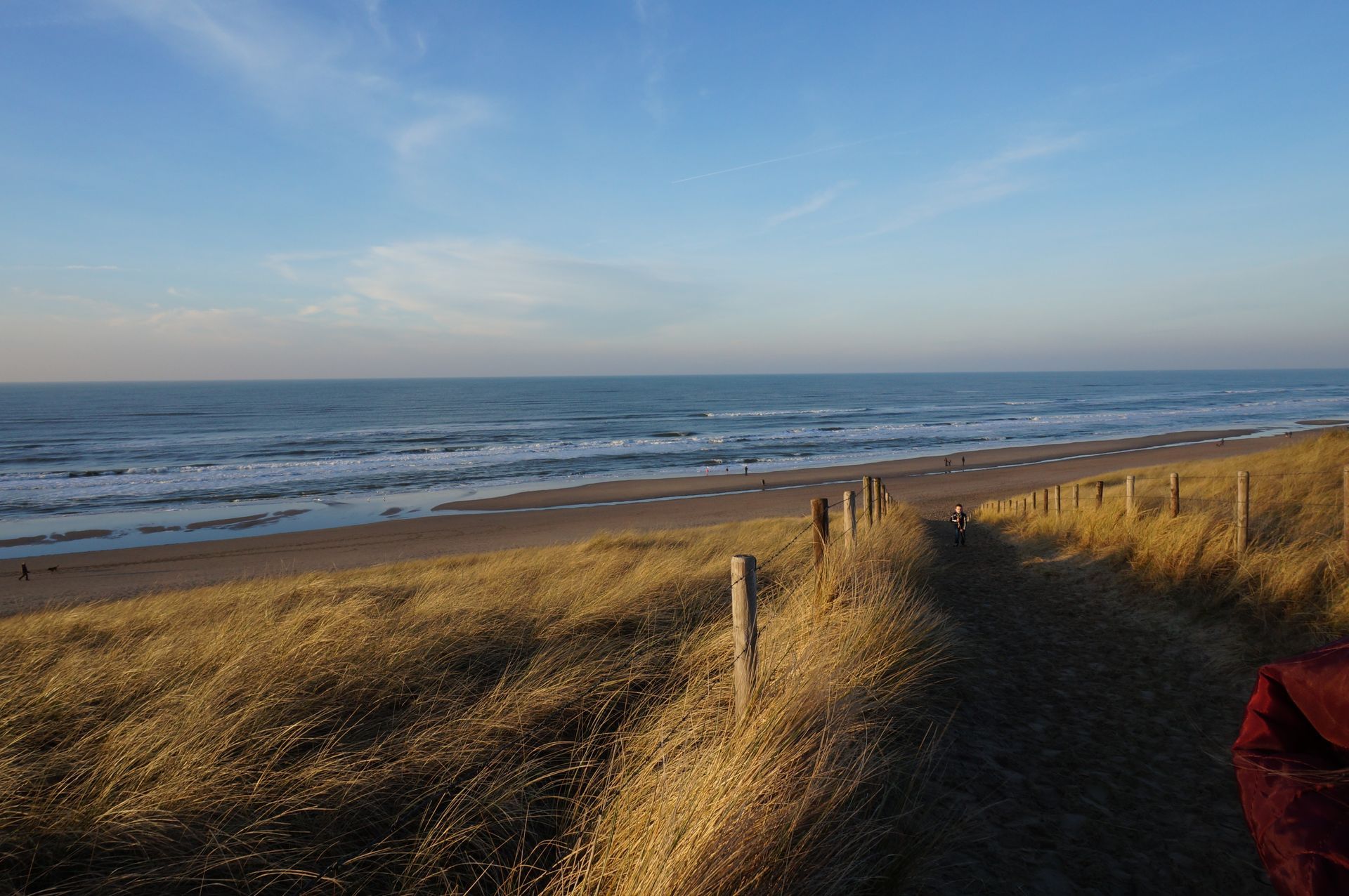 Kustfoto van de duinen en Nederlandse kust 