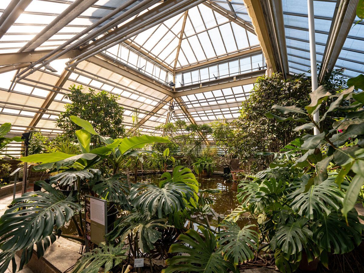 Botanische tuin Leiden