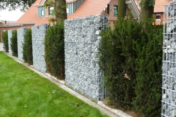 Gabionenkörbe und Büsche als Sichtschutz