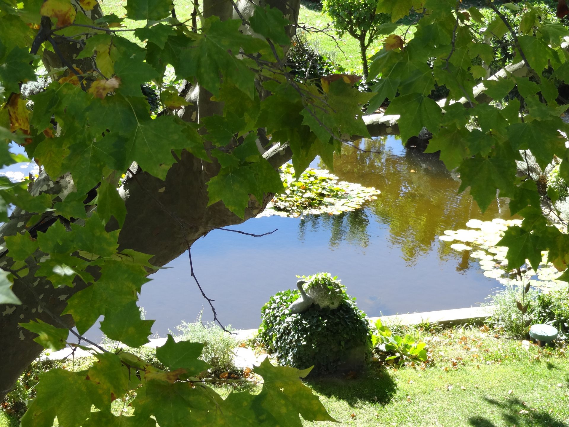 Vineyards call.