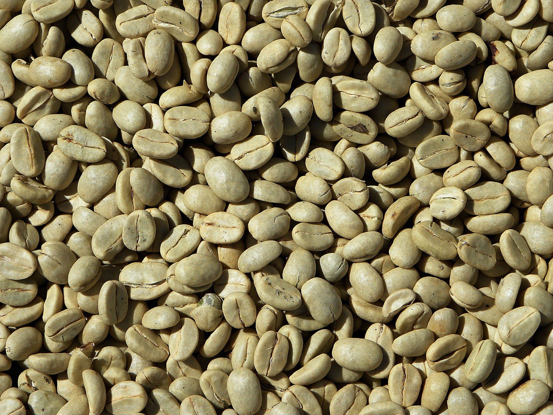 Récolte Et Préparation Du Grain De Café Avant La Torréfaction