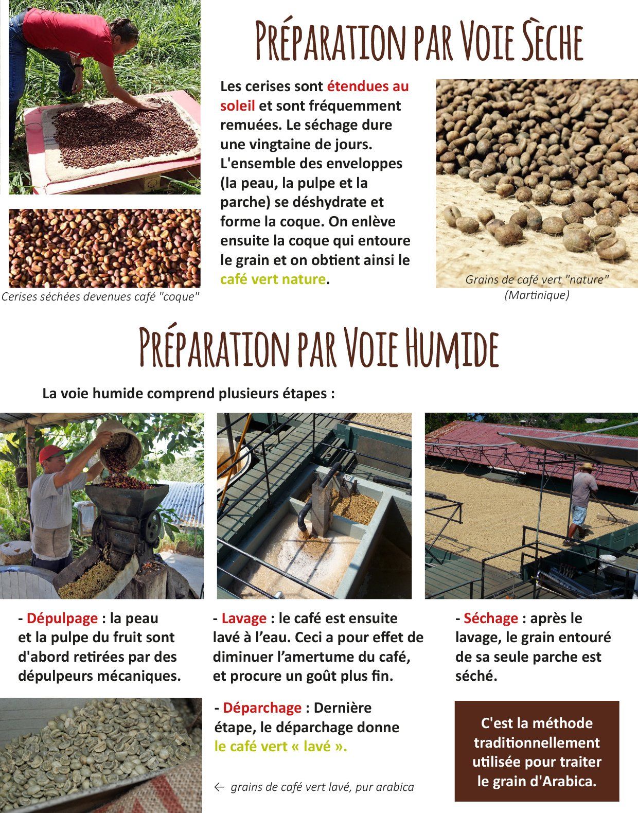Récolte Et Préparation Du Grain De Café Avant La Torréfaction