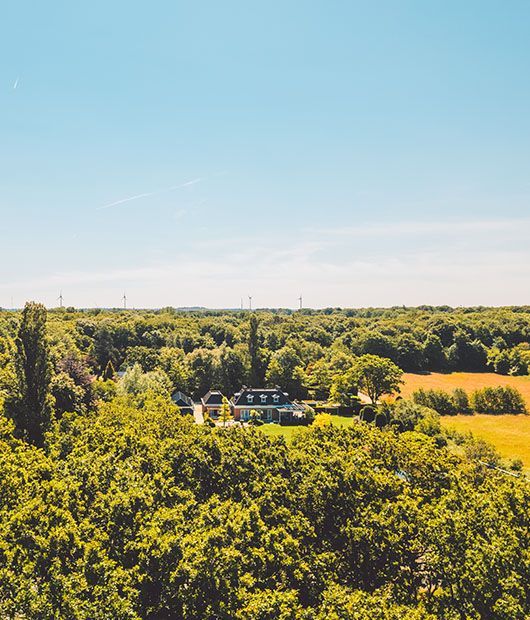 Bovenaanzicht van een huis, verscholen in een weelderig groen bos onder een helderblauwe hemel.